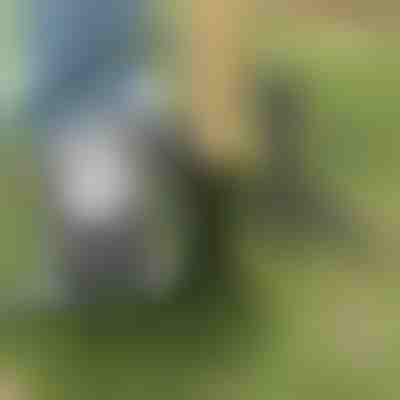 Εργαλείο εξαγωγής ζιζανίων | ROOTNIK