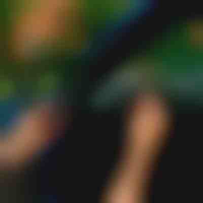 Λωρίδα στεγάνωσης πόρτας αυτοκινήτου (5μ) | EVOSEAL