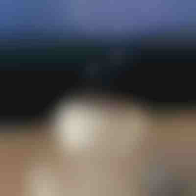 Διαχυτής αρώματος χαλάρωσης | MEDUSAMIST