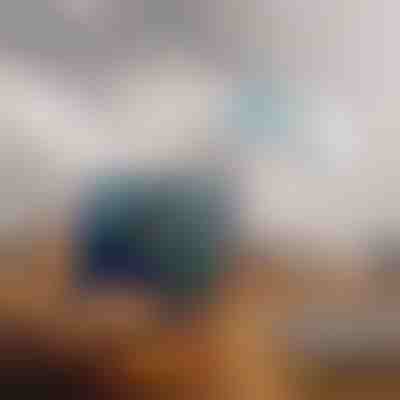 Ενισχυτής WiFi διπλής ζώνης | WIFINA