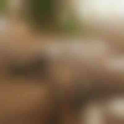 Μαγνητικός αυτοκόλλητος οργανωτής καλωδίων | CABLIP